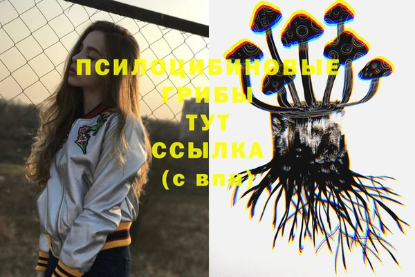 гашик Сатка