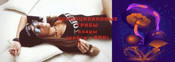 гашик Сатка