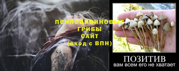 прущий лед Сафоново