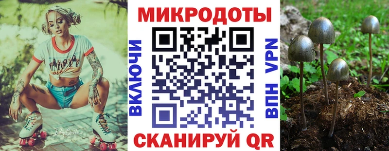 купить  сайты  Агидель  Галлюциногенные грибы GOLDEN TEACHER 